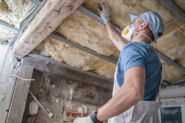 Best Insulation Materials and Products in Wasilla, AK